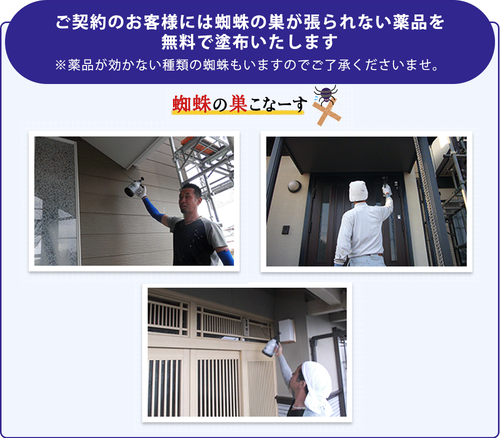 蜘蛛の巣こなーす